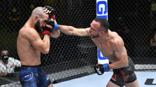 UFC Vegas 19 – výsledky