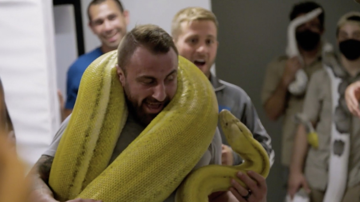 Ortega při natáčení TUF vypustil na Volkanovskiho obří hady. „Málem jsem si nadělal do kalhot,“ přiznal australský šampion