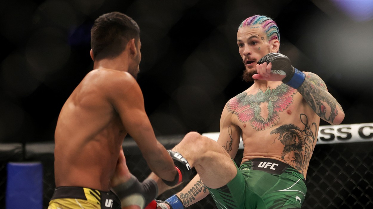 Protěžovaný ale talentovaný O’Malley potěšil své fanoušky a zničil Paivu