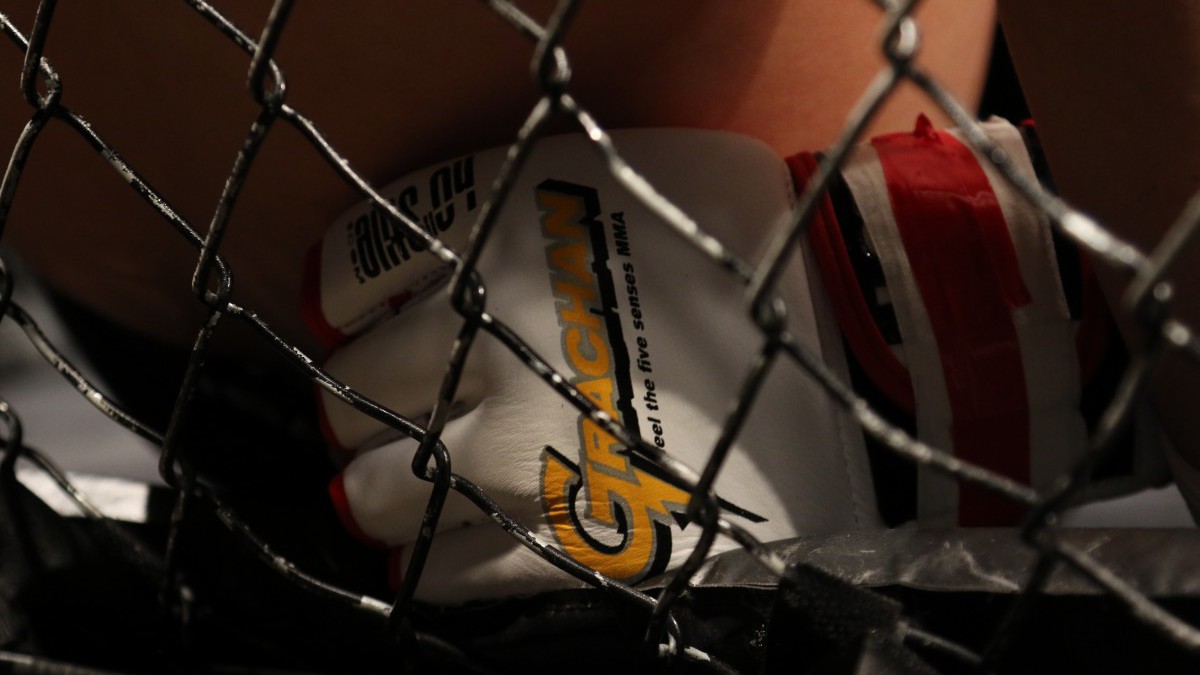 Sázky na Clash of the Stars: Jaká je nejlepší strategie při sázení na zápasy celebrit?