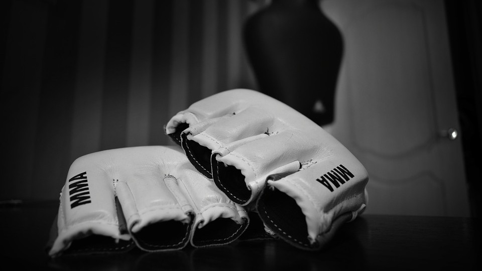 Training-Sports-Gloves-Fighter-Martial-Arts-Fight-3311299