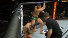 Johnny Walker vs. Paul Craig