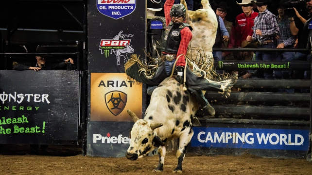 Sázka uzavřena. Když bojovník vydrží na býkovi 8 vteřin, dá mu šéf UFC milionovou odměnu