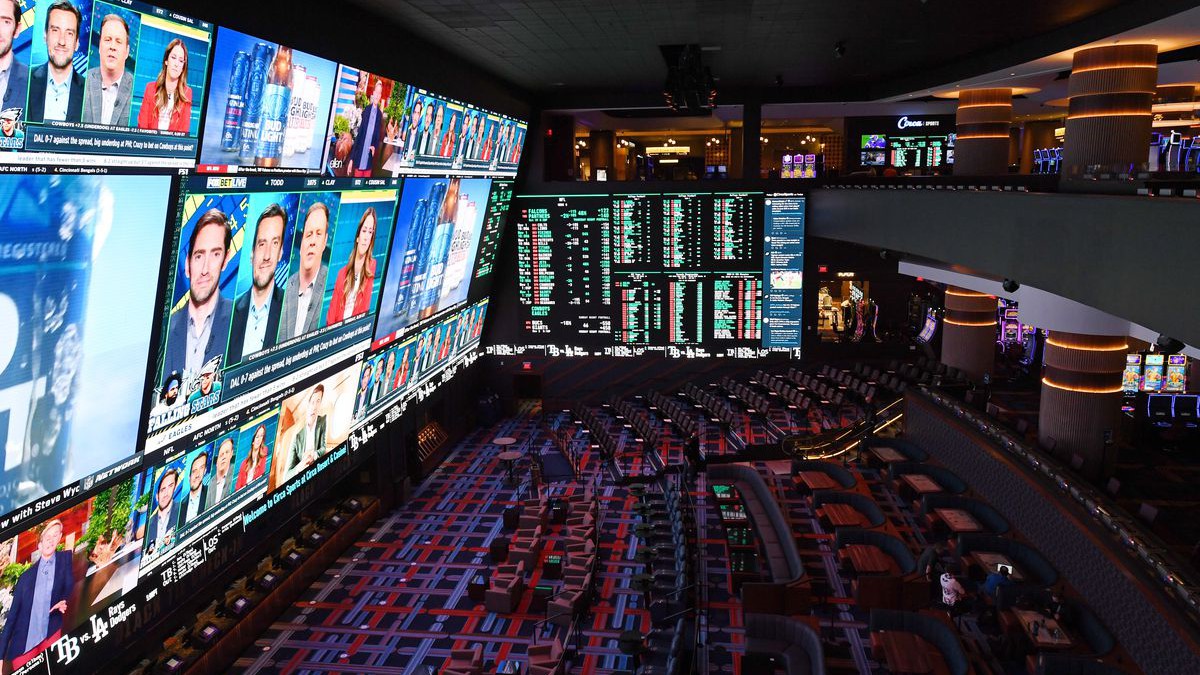 Jackpot knockout: box a online kasina jsou žhavým mixem