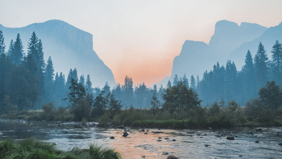 Nový status: Digitální detox