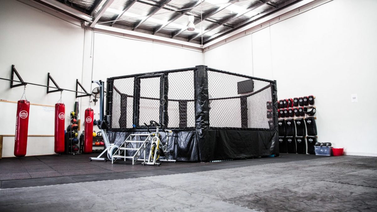 MMA jako alternativa pro posilovnu