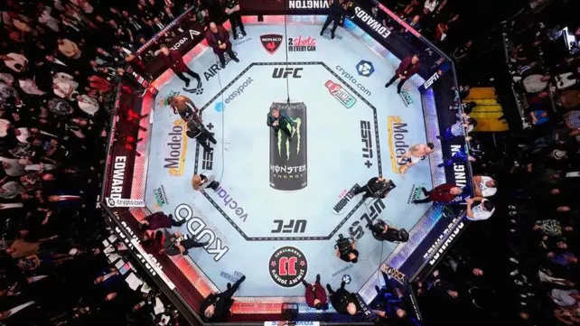 Sázení na bojová umění: Pravidla a podvody