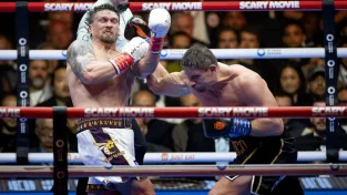 Krádež století? Verhoeven sahal v boxu s Usykem po senzační výhře, rozhodčí byl ale proti